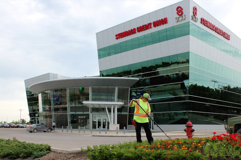 Rossmere Worker at Steinbach Credit Union