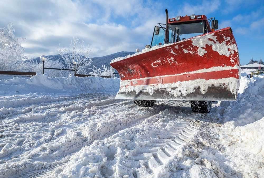 Landscape Maintenance